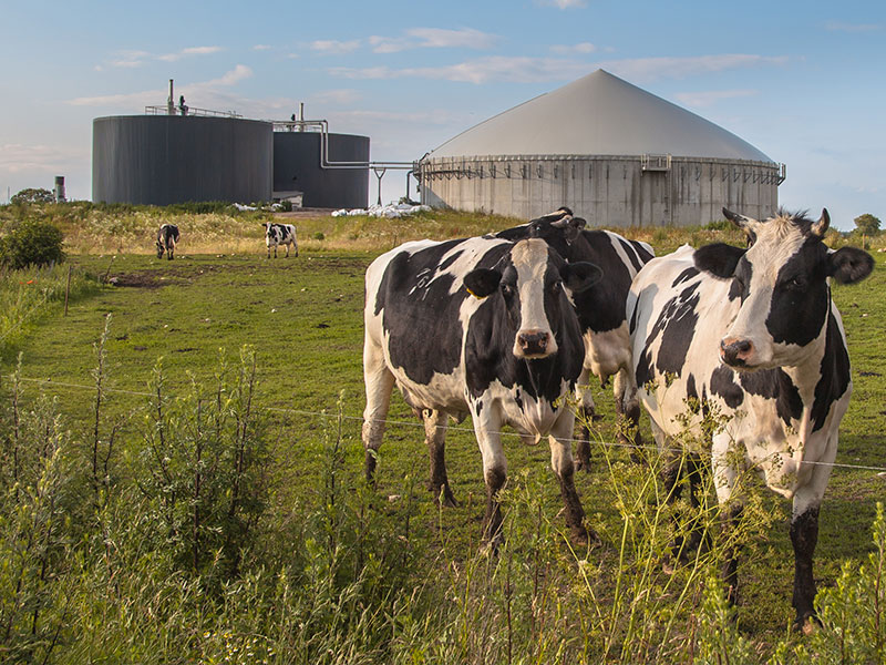 BioGas